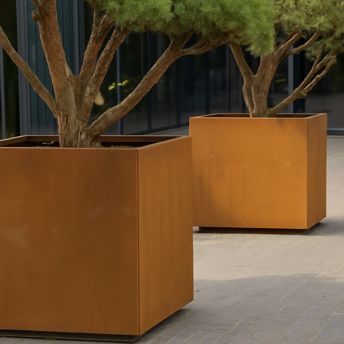 Große Pflanzkübel aus Cortenstahl mit natürlicher Edelrost-Patina setzen die Bäume auf der hellen Steinfläche als stilvolles Gartenelement in Szene.