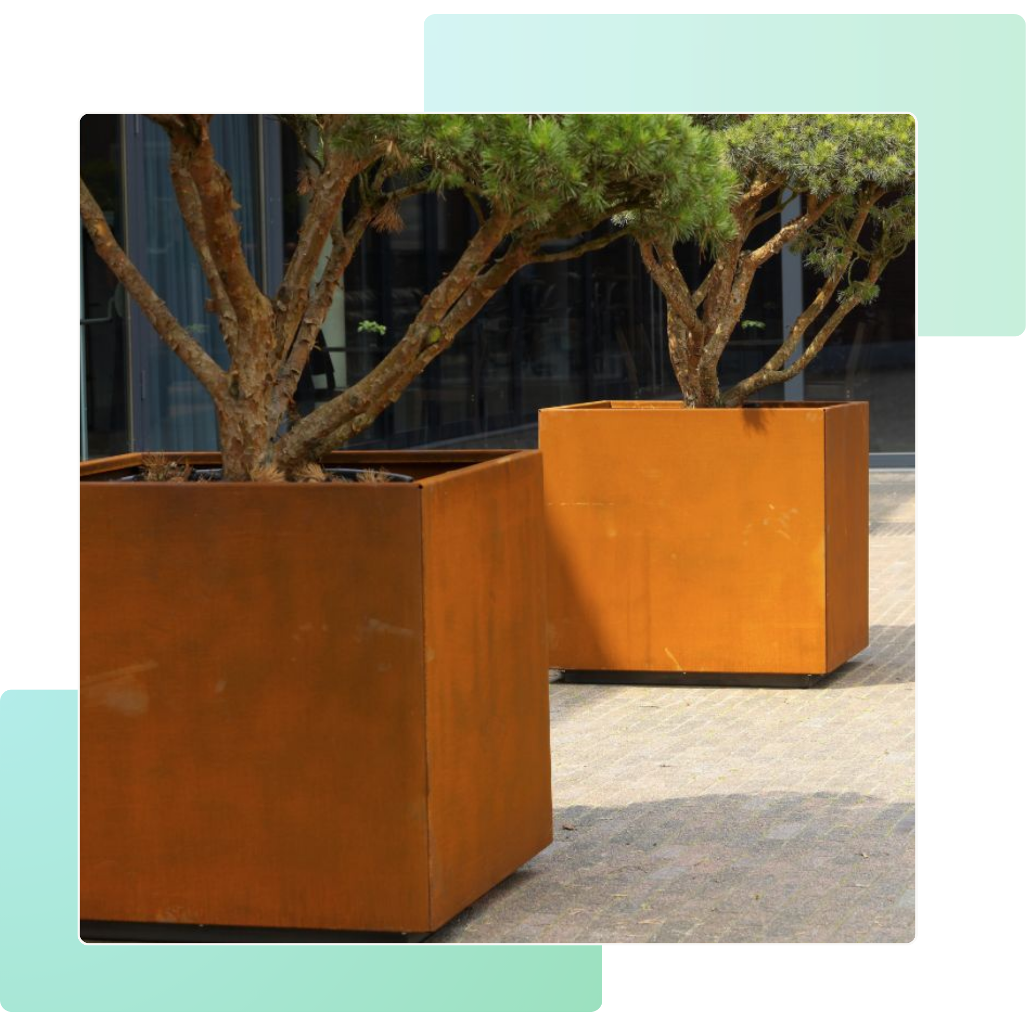 Zwei große Pflanzkübel aus Cortenstahl mit Bäumen, rostbraune Patina als modernes Designelement – stilvolle Außengestaltung für Garten, Terrasse und Gewerbeflächen.